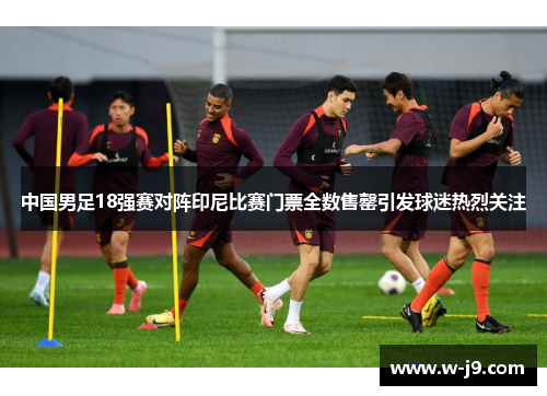 中国男足18强赛对阵印尼比赛门票全数售罄引发球迷热烈关注