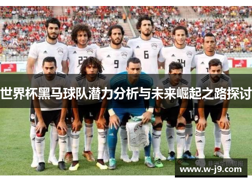 世界杯黑马球队潜力分析与未来崛起之路探讨
