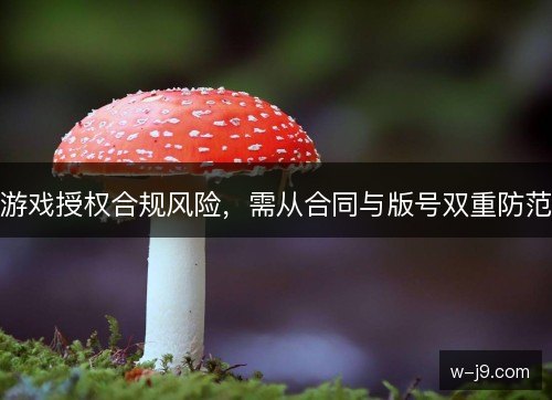 游戏授权合规风险，需从合同与版号双重防范